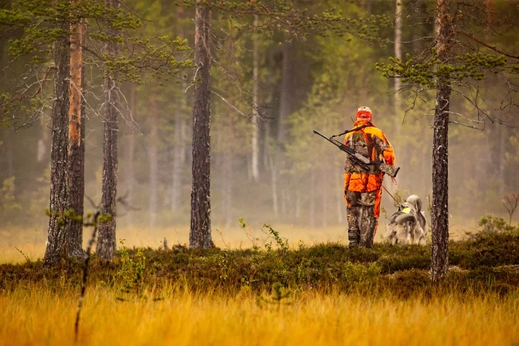Summary of Best Hunting Boots